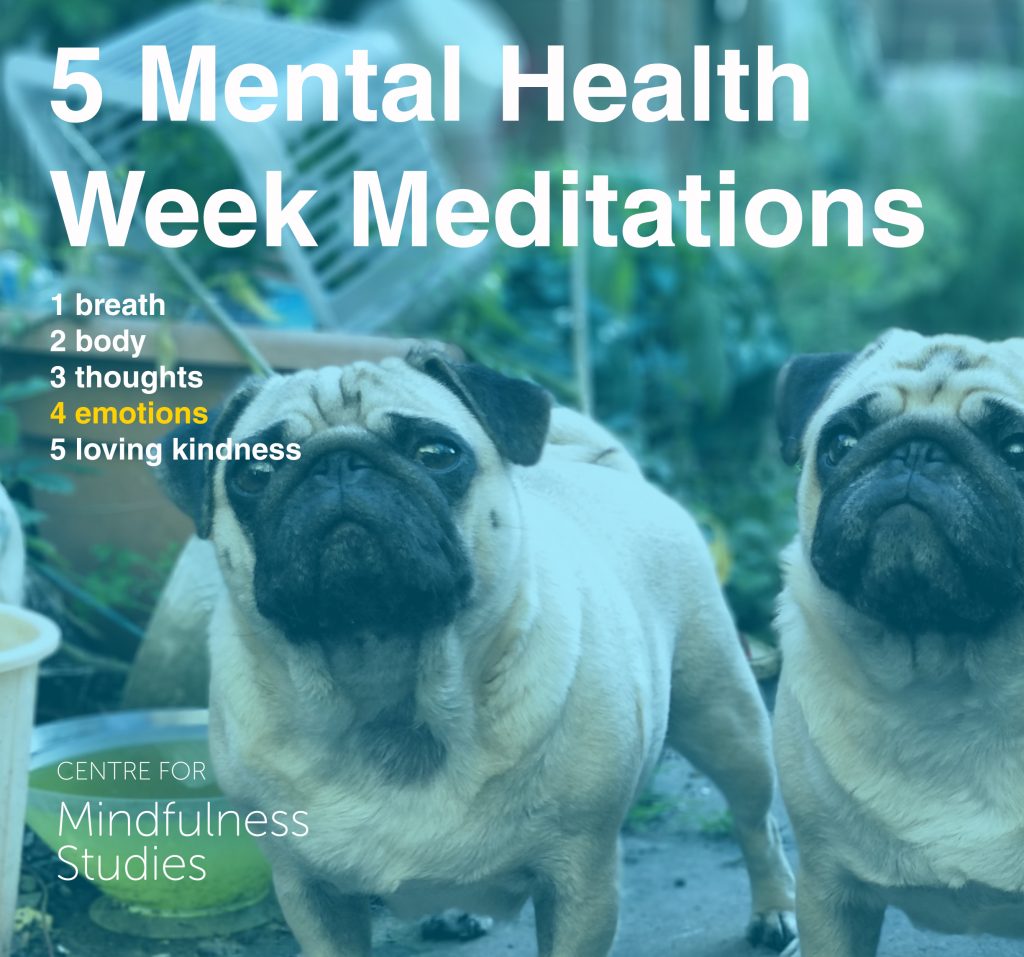 Mental Health Week: Elevating Awareness of Emotions