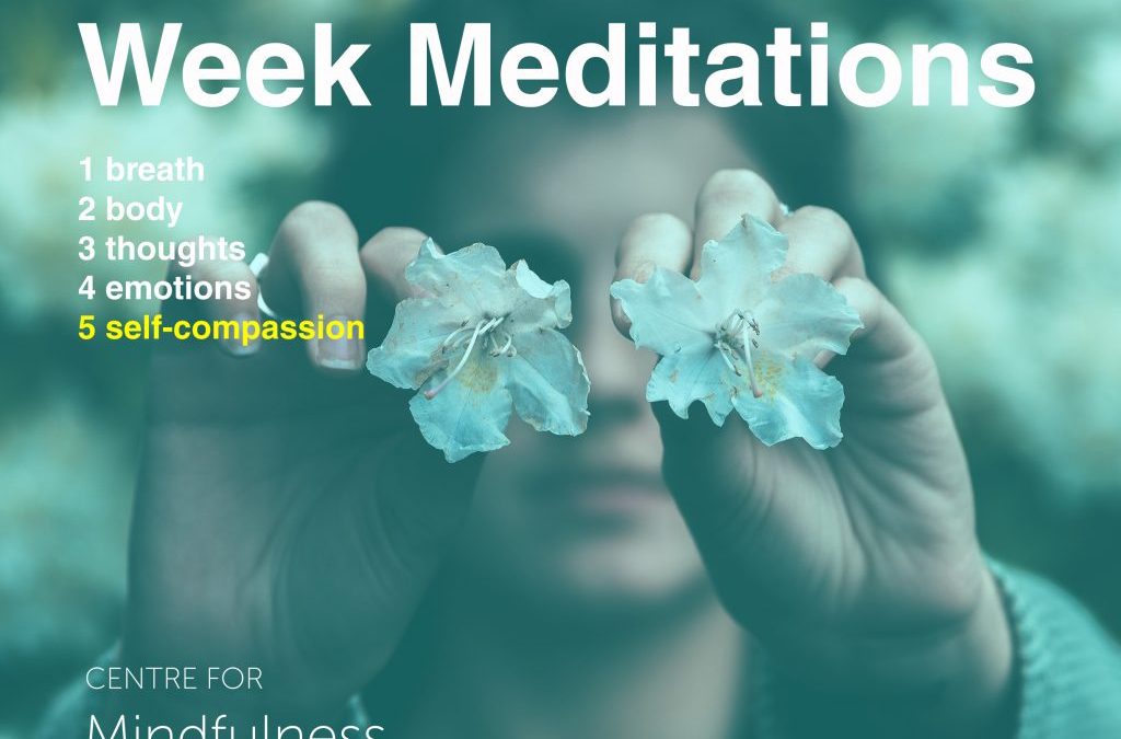 Mental Health Week: Compassion for You